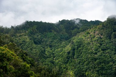 Dağlar manzaralı. Dağların resmi