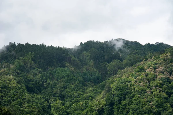 Uitzicht Berg Poster Uitzicht Berg Foto — Stockfoto