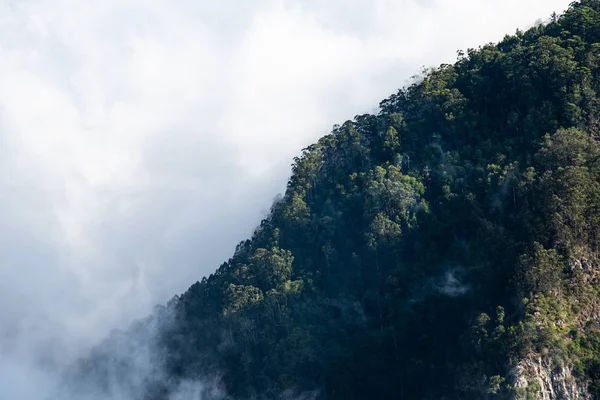 Las Niebo Obraz Lasu Chmur — Zdjęcie stockowe