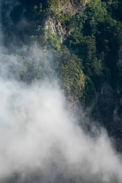 Nuvem Árvores Cima Imagem Natureza — Fotografia de Stock