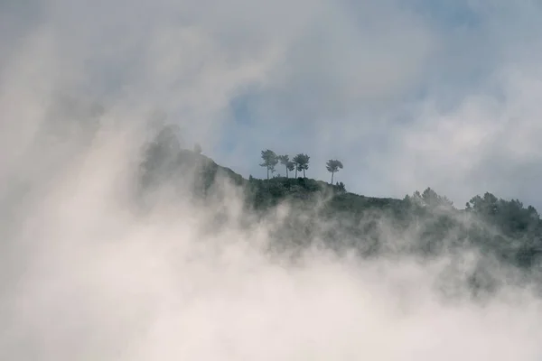 Δάσος Και Σύννεφα Στον Ουρανό Εικόνα Του Δάσους — Φωτογραφία Αρχείου