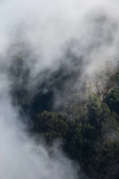 Niebla Las Montañas Foto Árboles Las Montañas —  Fotos de Stock