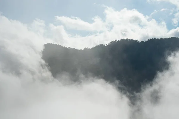 Mountains Trees Landscape Picture Mountains — Stock Photo, Image