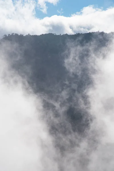 Δέντρο Και Βουνά Στην Ομίχλη Φωτογραφία Δέντρου Και Ομίχλης — Φωτογραφία Αρχείου