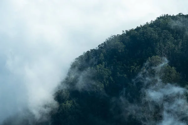 Foto Floresta Nuvens Paisagem Florestal — Fotografia de Stock