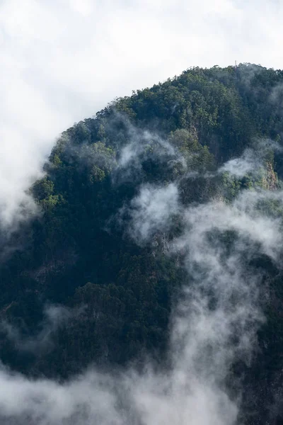 Πανόραμα Του Δάσους Φωτογραφία Από Δάσος Και Σύννεφα — Φωτογραφία Αρχείου