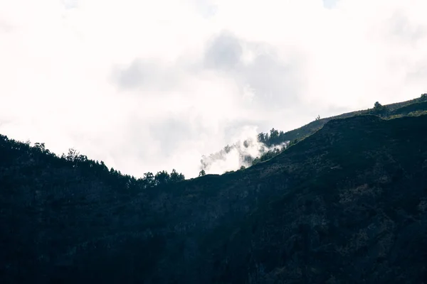 Nuvole Sopra Foresta Immagine Alberi — Foto Stock