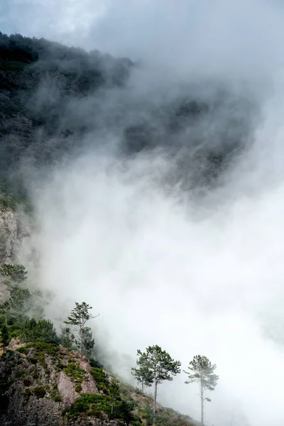Εικόνα Από Σύννεφα Στα Βουνά Ομίχλη Στα Βουνά — Φωτογραφία Αρχείου