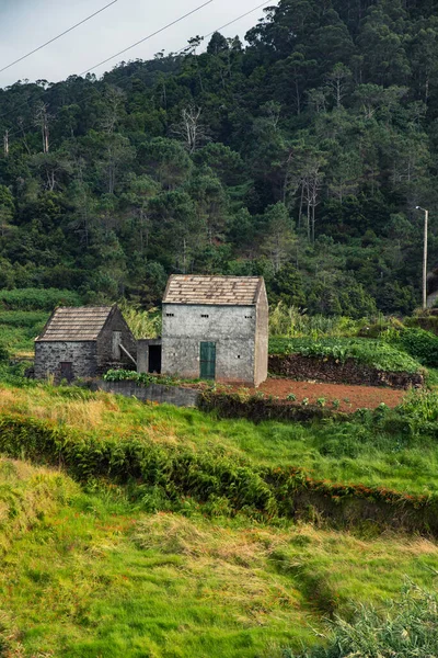 Small farm. Picture of small farm