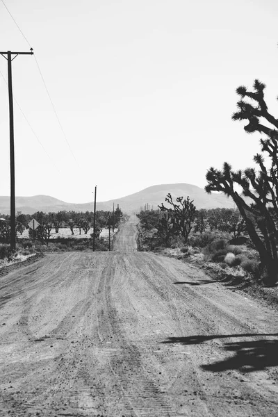 Road Nowhere Road Desert — Stock Photo, Image