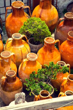 Turuncu sürahi. Atıcının resmi.