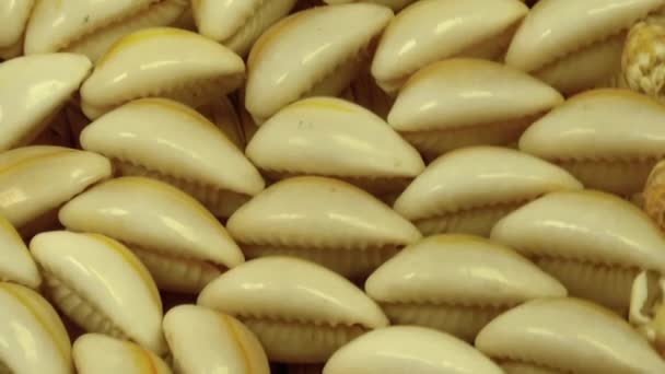 Les petits coquillages tournaient. Ferme là. La vue du haut — Video