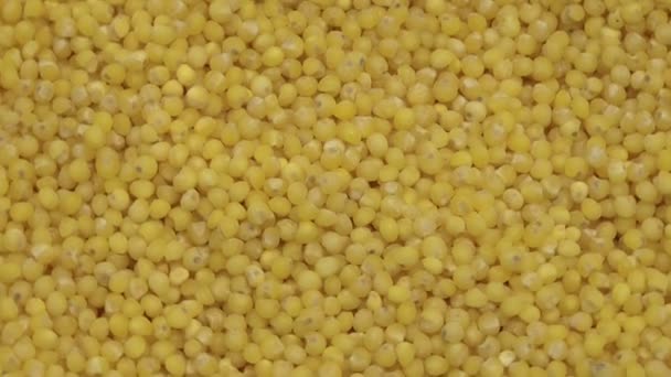 Millet grains Rotation. Close up. The view from the top — Stock Video