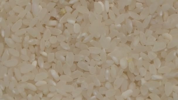 Grain Rice Rotate Close View Top — Stock Video