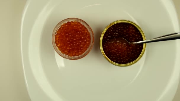 Jars of red caviar rotate on a plate. The view from the top. Close-up. Macro. — Stock Footage Jars of red caviar rotate on a plate. The view from the top. Close-up. Macro. Stock Footage