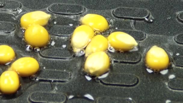 Tres semillas de maíz estallan y caen en una sartén con algo de aceite . — Vídeo de stock