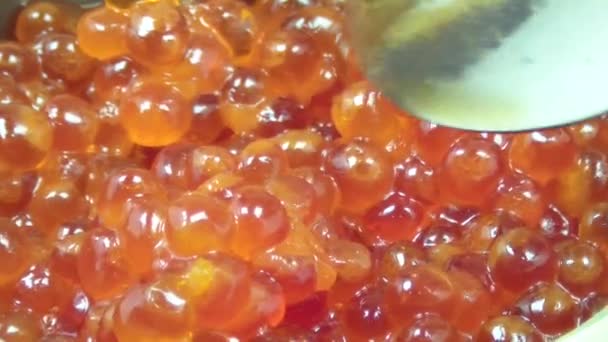 Tarro Caviar Rojo Gira Caviar Rojo Cae Frasco — Vídeo de stock