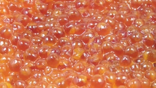 Frasco Caviar Vermelho Gira — Vídeo de Stock