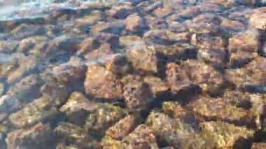 Güzel taşlar ama temiz suyun altında bir taban. Finlandiya 'nın Baltık Denizi körfezi. Bahar.