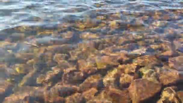 きれいな水の下で美しい石が バルト海のフィンランド湾 — ストック動画
