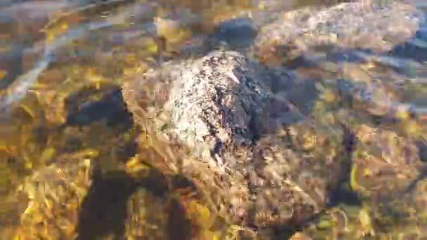 Lindas Pedras Mas Fundo Sob Água Limpa Golfo Finlandês Mar — Vídeo de Stock