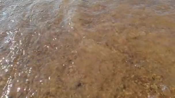 Marée basse sur le rivage sablonneux de la mer .