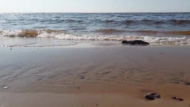 Calma Las Olas Del Mar Rodar Orilla Arenosa Movimiento Lento — Vídeos de Stock