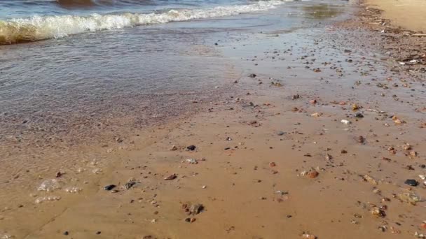 Calma Las Olas Del Mar Rodar Orilla Arenosa Movimiento Lento — Vídeos de Stock