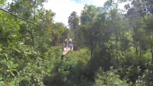 Homme Âge Moyen Volant Travers Canopée Sur Fil Glissière Dans — Video