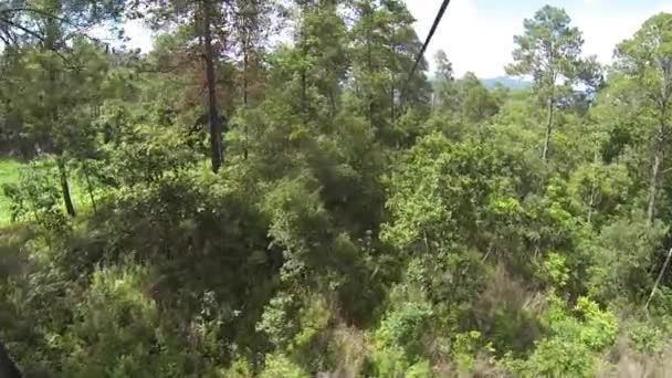 Zipline Copan Honduras Voando Através Dossel Árvores Floresta Tropical Selva — Vídeo de Stock