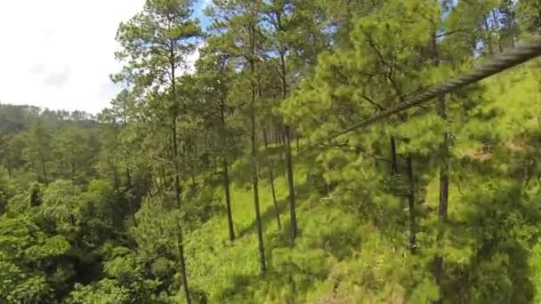 ホンジュラスのコパンでジップライン 中央アメリカの熱帯雨林やジャングルの木々の天蓋を飛んでジップライン — ストック動画