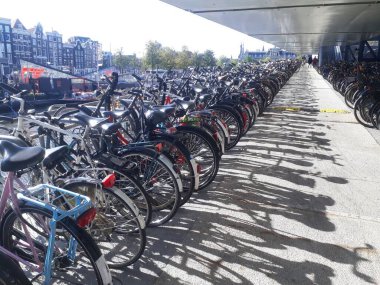 Amsterdam Bisiklet Parkı Güneşte