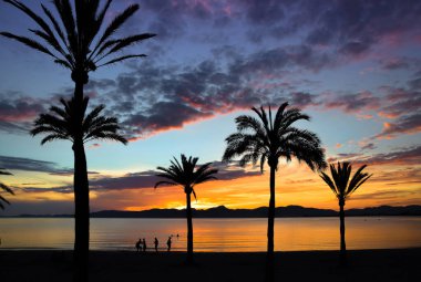 Palmiye ağaçları arasında, El Arenal, Balear Adaları, Mayorka (Mallorca), İspanya 'da güzel bir gün batımı.