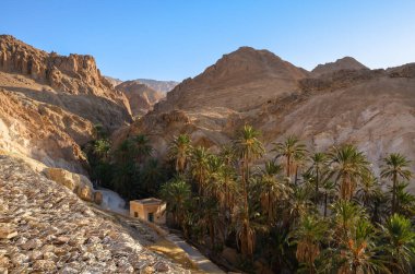 Sahra Çölü 'ndeki vaha harabe yerleşim yerinin yanında, Chebika, Tunus