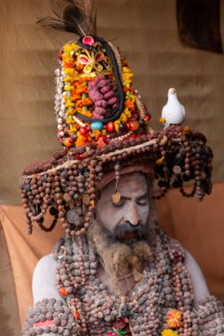 Prayagraj, Uttar Pradesh, Hindistan - Şubat 2019: Hint naga sadhu Hindu ayinine hazırlanıyor - Kumbh Mela Fair.