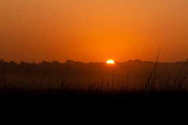 Jim Corbett Ulusal Parkı 'ndaki dağların arkasından gün doğumu, Nainital, Pauri Garhwal Uttarakhand, Hindistan
