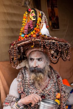Prayagraj, Uttar Pradesh, Hindistan - Şubat 2019: Hint naga sadhu Hindu ayinine hazırlanıyor - Kumbh Mela Fair.