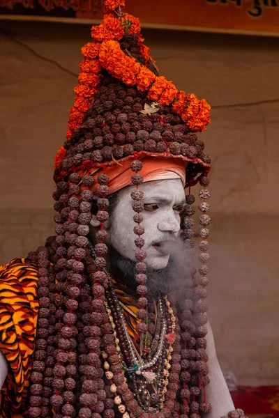 Фельяградж Уттар Прадеш Индия Февраль 2019 Года Индийская Нага Садху — стоковое фото