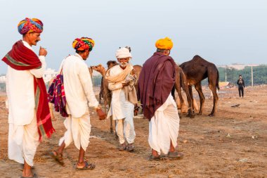 Pushkar, Rajasthan / India - November 2019 : Portrait of rajasthani camel trader in colorful turban and ethnic rajasthani dress at camel fair