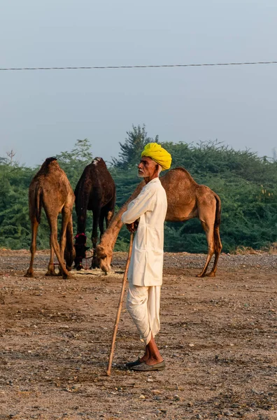 Pushkar Rajasthan India November 2019 Old Camel Trader Yellow Turn — Stockfoto