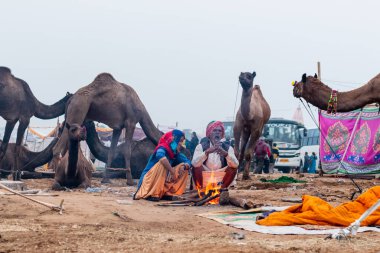 Puşkar, Rajasthan / Hindistan - Kasım 2019: köy halkı 