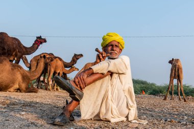 Pushkar, Rajasthan / India - November 2019 : Portrait of an old rajasthani man smoking at fair ground in yellow turban and ethnic rajasthan white dress for male with camels in the background