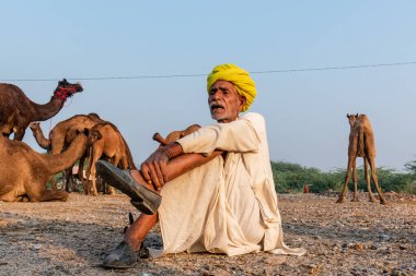 Pushkar, Rajasthan / India - November 2019 : Portrait of an old rajasthani man smoking at fair ground in yellow turban and ethnic rajasthan white dress for male with camels in the background