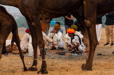 Pushkar, Rajasthan / Hindistan - Kasım 2019: Pulkar deve fuarı 2019. Yerel halk