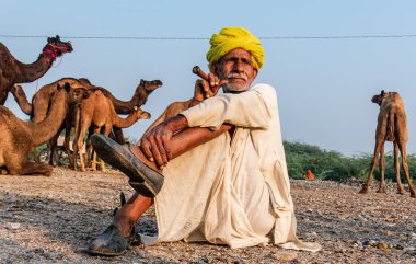 Pushkar, Rajasthan / India - November 2019 : Portrait of an old rajasthani man smoking at fair ground in yellow turban and ethnic rajasthan white dress for male with camels in the background