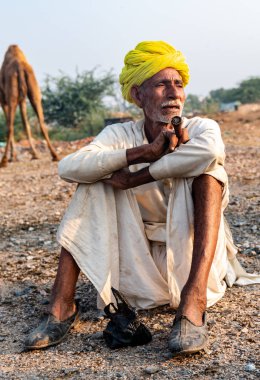 Pushkar, Rajasthan / India - November 2019 : Portrait of an old rajasthani man smoking at fair ground in yellow turban and ethnic rajasthan white dress for male with camels in the background
