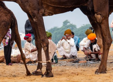 Pushkar, Rajasthan / Hindistan - Kasım 2019: Pulkar deve fuarı 2019. Yerel halk