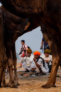 Pushkar, Rajasthan / Hindistan - Kasım 2019: Pulkar deve fuarı 2019. Yerel halk