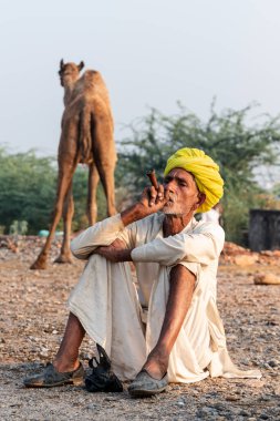 Pushkar, Rajasthan / India - November 2019 : Portrait of an old rajasthani man smoking at fair ground in yellow turban and ethnic rajasthan white dress for male with camels in the background