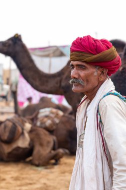 Pushkar, Rajasthan / Hindistan - Kasım 2019: Pulkar deve fuarı.